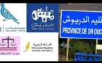 أغلبهم خلفوا أنفسهم.. هؤلاء هم رؤساء الجماعات الترابية والأحزاب التي ينتمون لها بإقليم الدريوش