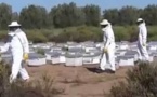 مشروع تربية النحل لفائدة الأسر المعوزة بالناظور