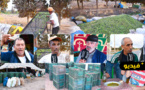  الناظور.. معاصر الزيتون تشرع في إستقبال محصول هذه السنة وفلاحون يؤكدون تراجع الغلة لهذه الأسباب