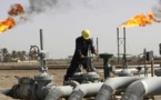 برلمانيون اوروبيون يستنكرون قرار قطع الغاز الجزائري 