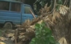 أقوى إعصار تشهده الكرة الأرضية هذا العام يضرب الفلبين بسرعة 380 كلم في الساعة