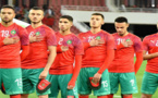 لأول مرة: ترشيح أسود الأطلس لجائزة أفضل منتخب في العالم