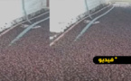 بالفيديو.. حشرات طائرة تغزو هذه المدينة