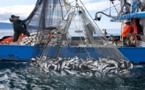 الإسبان يخشون من عدم تجديد عقد الصيد البحري بين المغرب والاتحاد الأوروبي