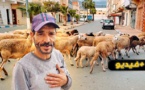 أغنام ضائعة تتجول بحرية في مدينة الناظور.. وهذا ما قام به مواطن لحمايتها من السرقة والحجز
