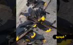 فيديو.. آلاف الطيور السوداء تسقط دفعة واحدة في شارع وتموت