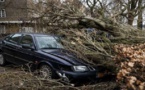 عاصفة قوية تهدد هولندا والسلطات تعلن حالة الطوارئ