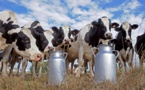 تزامنا مع اقتراب رمضان.. المغرب يسجل انخفاضا في إنتاج الحليب