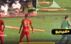 فيديو.. أفعى داخل ملعب تثير الرعب وتوقف مباراة لكرة القدم