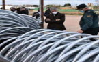 السلطات الإسبانية تضع قضبان حديدية على السياج الحدودي لمليلية للتصدي لهجمات الأفارقة