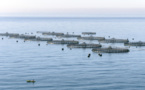 إسبانيا تراسل المغرب بخصوص مزرعة الأسماك بالجزر الجعفرية