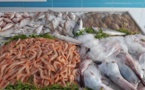 إرتفاع صاروخي في أسعار الأسماك بأسواق الناظور