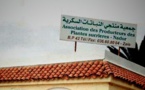 فلاحون يطالبون بتمديد فترة إيداع الترشيحات لتجديد مكتب جمعية منتجي النباتات السكرية بإقليم الناظور