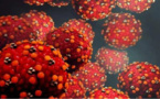 ظهور فيروس جديد يقلق العالم.. انفلونزا الطماطم بالهند