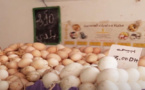 زيادات غير مسبوقة في أسعار البيض قريبا