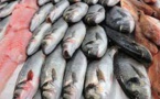 سلطات مليلية تفرض شروطا على دخول الأسماك المغربية اعتبارا من اليوم