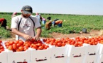 رغم الجفاف.. تسجيل أرقام قياسية في صادرات الخضر والفواكه