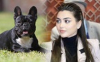 صورة.. ساعدوني في إيجاد ابنتي برلمانية تبحث عن كلبتها الضائعة بالرباط بعد تغيبها عن جلسة شفهية