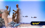شاهدوا.. مشاهد تحبس الأنفاس من مناورات الأسد الأفريقي بمشاركة الطيران الحربي