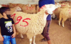 "ما معيدينش" حملة تغزو مواقع التواصل الإجتماعي بسبب غلاء الأسعار