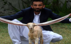 هذه قصة نجم التواصل الاجتماعي الجدي "سيمبا" صاحب أطول أذنين في العالم 