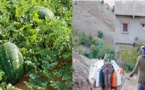 العطش في البوادي يعيد طرح سؤال جدوى الزراعات التصديرية