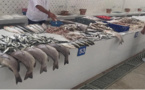ارتفاع انتاج الأسماك  في المغرب بنسبة 21% بدون أثر على الأسعار للمستهلك الناظوري