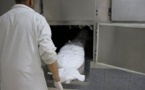 عدد وفيات العروي يرتفع إلى تسعة والأمن يعتقل شخصين على ذمة التحقيق