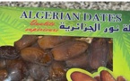 بعد أمريكا وكندا.. فرنسا تسحب التمور الجزائرية من الأسواق بسبب استعمال مواد كيماوية مسرطنة