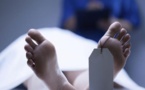 بطريقة مخيفة.. سيلفي ينهي حياة سيدة أمام أطفالها
