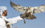 اعتقال أربعة خليجيين في المغرب بتهمة الصيد الجائر لطائر محمي بالقانون