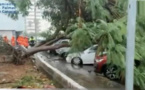 تتجه نحو المغرب..  تحويل مسار مئات الرحلات الجوية في إسبانيا