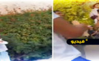 شاهدوا.. الأمير مولاي رشيد وأسرته يفاجؤون زوار حديقة الحيوانات بالرباط