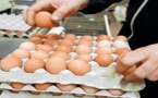 عزوف كبير للمواطنين على شراء البيض بعد ارتفاع سعره