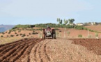خبير: المغرب يحتاج ستين يوما من الأمطار لينقذ الموسم الفلاحي الحالي‬