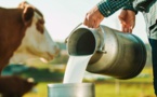 أزمة الحليب.. المغرب يعتمد إجراءات جمركية جديدة لتسهيل الاستيراد