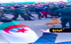 فيديو.. شان الجزائر فوضى وزرواطة تنهال على الجماهير