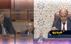 فيديو.. مجعيط يطالب الحكومة بإنصاف فئة الباعة الجائلين.