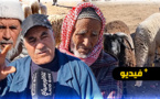 شاهدوا.. ارتفاع الأسعار يصل إلى المواشي والأضاحي بأسواق الدريوش