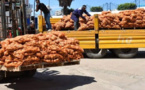 بيعت بدرهمين ونصف للكيلو.. مزاد علني ينتهي ببيع 145 طنا من البطاطس المحجوزة