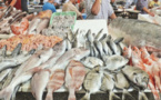 مسؤولة إسبانية: التصريح بتمرير الأسماك المغربية إلى مليلية ينتظر تكييف مرافق التفتيش على الحدود