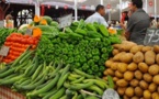 حقوقي يكشف عجز مخطط المغرب الأخضر ويدعو لمحاسبة المسؤولين