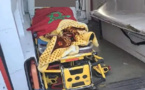 "المرسبون في امتحان المحاماة".. نقل شابة مضربة عن الطعام في حالة حرجة للمستشفى