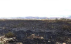 حريق بالقرب من مطار الحسيمة يلتهب 5 هكتارات