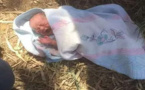 صدمة بعد العثور على رضيعة حديثة الولادة متخلى عنها في حديقة