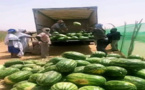 أنهك الفرشة المائية.. "الدلاح" المغربي ينقل إلى موريتانيا وينتظر وصوله إلى أوروبا