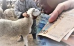 مع اقتراب عيد الأضحى.. مطالب للحكومة بمنح مساعدات للأسر المعوزة