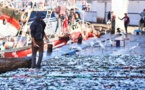 تسجيل انخفاض في كميات الأسماك المفرغة بميناء الناظور