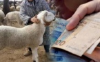 يهم الموظفين المتقاعدين بالناظور.. صرف استثنائي للمعاشات قبل عيد الأضحى