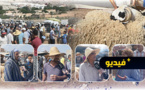 سوق الغنم بأزغنغان.. ارتفاع الأسعار يغضب المواطنين ويتسبب في العزوف عن شراء الأضاحي
